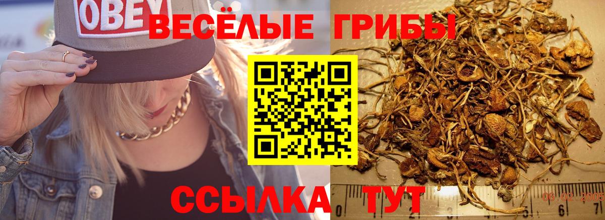 Галлюциногенные грибы мухоморы  купить  цена  Псилоцибиновые грибы мицелий  Волгодонск 