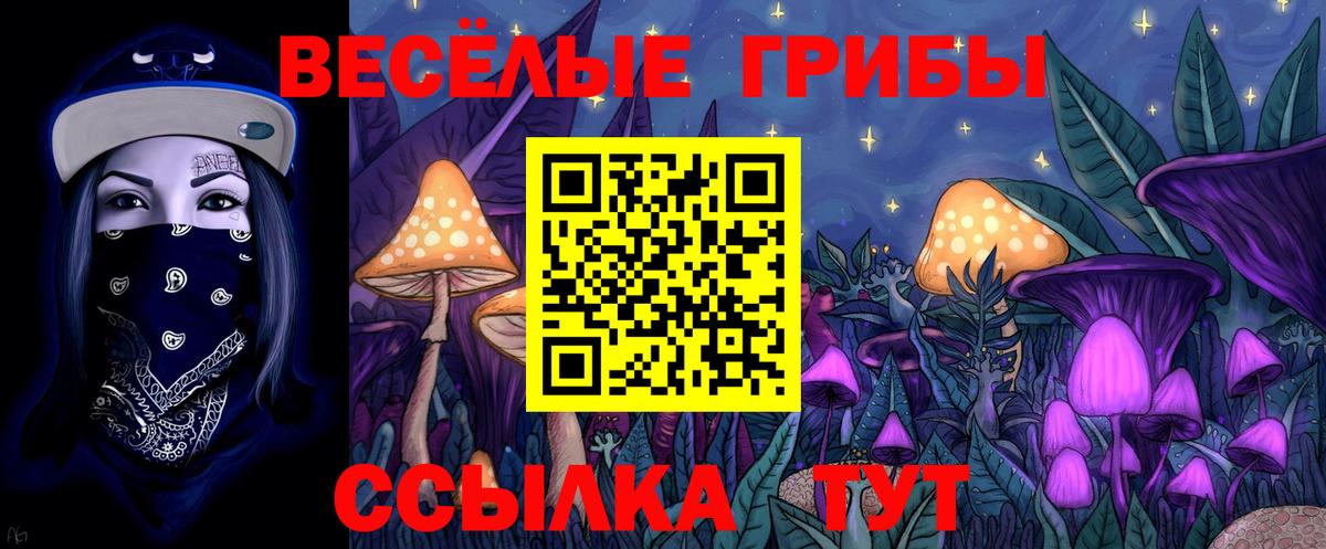 Волгодонск  Галлюциногенные грибы ЛСД  даркнет сайт  Вход с VPN 