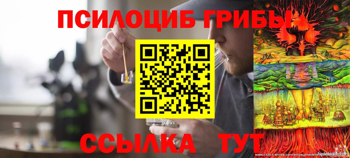 Псилоцибиновые грибы ЛСД Волгодонск